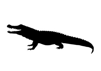 Alligator silhouette – vector illustration