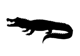 Alligator silhouette – vector illustration