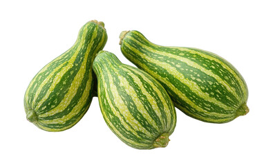 Small yellow pumpkin with green stem on white background, stems, tiny pumpkins