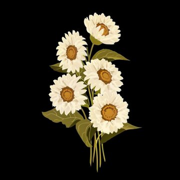 Elegant sunflowers animation isolated asset, transparent 4K video, alpha channel, ProRes 4444