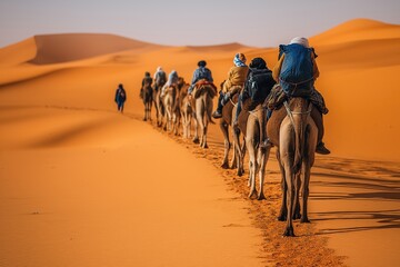 Berber Man Leading Camel Caravan Across Sand Dunes