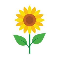 A sunflower vector art illustration