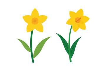 Set of yellow daffodils vector art illustration