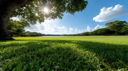 Sunlit landscape serene lake and vibrant greenery