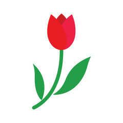 Red tulip with green leaves and a curved stem vector art illustration
