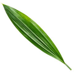 Pandan leaf isolated on a transparent background