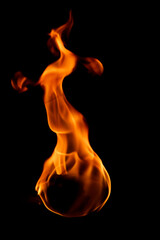 Vibrant Flame Dancing Against Black Background with Elegant Motion