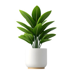Indoor potted plant with lush green leaves