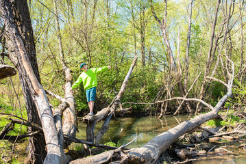 boy walking on a log, on a fallen tree above a river in a spring park
