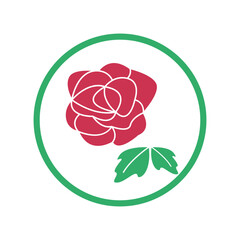 Beautiful red rose icon design