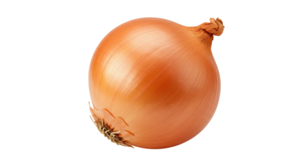 A brown onion shows its layering peel over a dark background