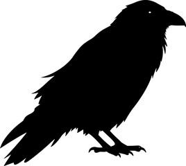 Fototapeta premium Raven Silhouette - Black Bird Vector, Gothic Illustration
