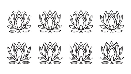 Protea line art minimalist design showcasing elegant bloom in detail