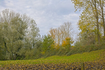 Naklejka premium autumn marsh landscape in Bourgoyen nature reserve, Ghent, Flanders, Belgium 