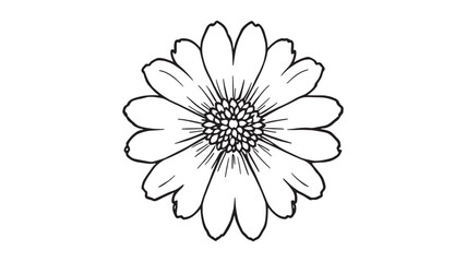 Fototapeta premium Scabiosa line art flower drawing in detailed minimalist ink style