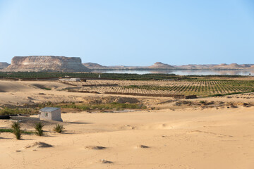 oasis de siwa, egipto