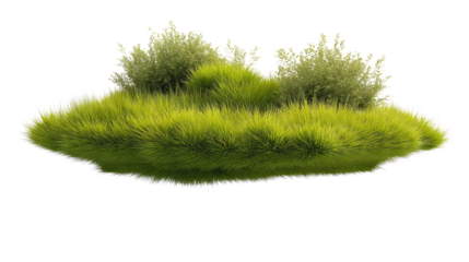 Lush Green Island of Grass and Shrubbery: An inviting island of vibrant green grass and delicate shrubbery, a haven of life set against a world of its own. A celebration of growth.