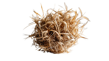 Golden Straw Globe: a close-up, high-angle shot presents a spherical bundle of golden straw, embodying rustic charm and organic textures.