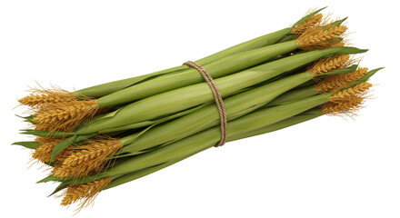 Fototapeta premium Tied sheaf of golden wheat stalks with long green stems. Rustic and abundant in harvest