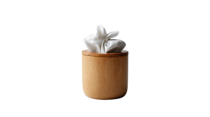Minimalist Tissue Box: A modern, clean, and minimalist design, showcasing a wooden tissue box holding a tissue. The focus on the elegant simplicity and its functionality.