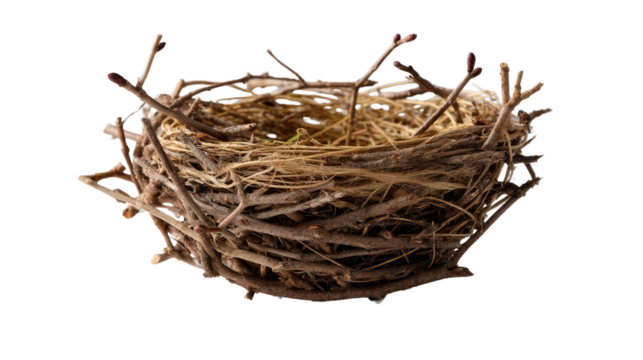 Empty Bird Nest: A rustic, empty bird's nest crafted from twigs and branches, symbolizing new beginnings, vulnerability, or the passage of time.