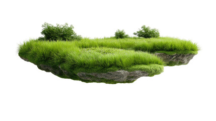 Floating Grass Island: Two small, lush green islands, covered with vibrant grass and small shrubs, float serenely against a clean background. Perfect for surreal compositions or whimsical designs.