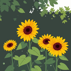 Vibrant Sunflowers in a Shady Garden