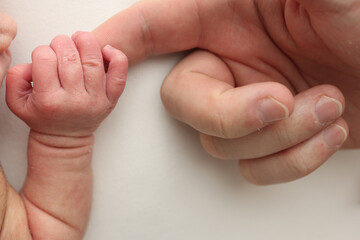 Close-up little hand of child and palm of mother and father. The newborn baby has a firm grip on the parent's finger after birth. A newborn holds on to mom's, dad's finger. 