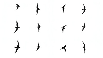 Vector illustration of flying bird silhouettes isolated on a white background, perfect for minimalist tattoo design or decorative artwork