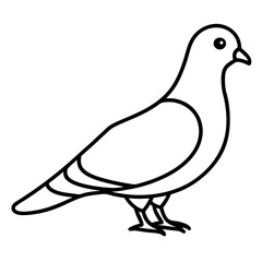 Modern Pigeon Outline Vector