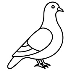 Modern Pigeon Outline Vector
