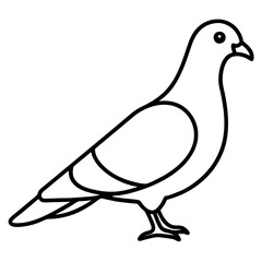 Modern Pigeon Outline Vector