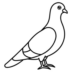 Modern Pigeon Outline Vector