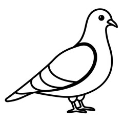 Modern Pigeon Outline Vector