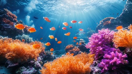 Fototapeta premium Vibrant Underwater Paradise: Coral Reefs and Tropical Fish