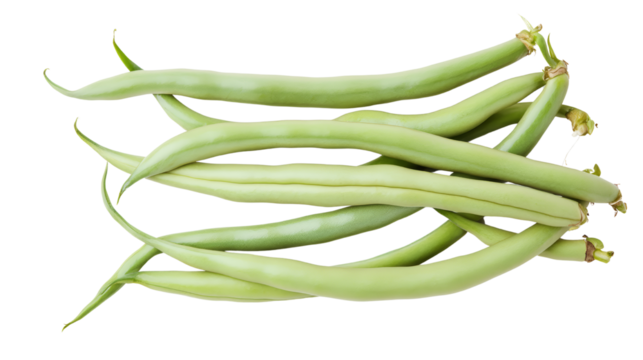 Fresh green beans for healthy cooking. Top view of a bundle of raw green beans with stems intact, isolated on white background, ideal for cooking, farming, or vegetable themes.
