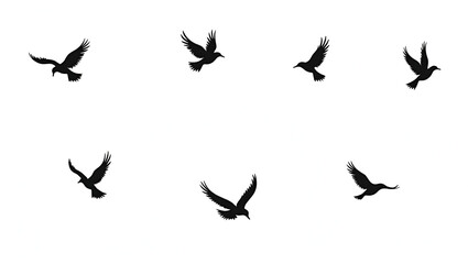 Set of black bird silhouettes in various flight poses, cleanly isolated on white background for use in vector art or tattoo designs