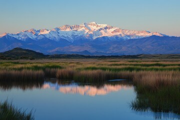 Andes Mountain Dawn Landscape. Snowy Peaks Reflecting on Wetland Marshes, Vast Grass Plains with Crystal Clear Water, Stunning Diagonal Scenic View under Clear Sky