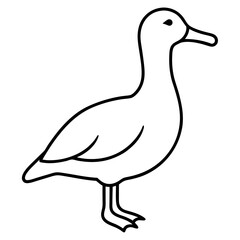 Simple Albatross Vector Drawing