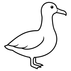 Simple Albatross Vector Drawing