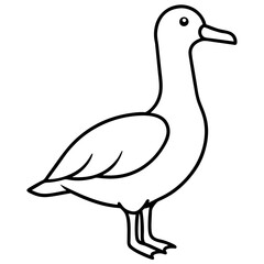 Simple Albatross Vector Drawing