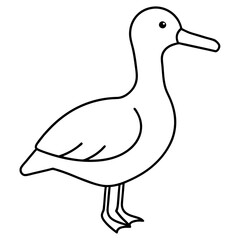 Simple Albatross Vector Drawing