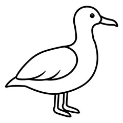 Simple Albatross Vector Drawing