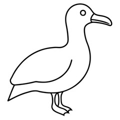 Simple Albatross Vector Drawing