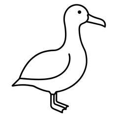Simple Albatross Vector Drawing