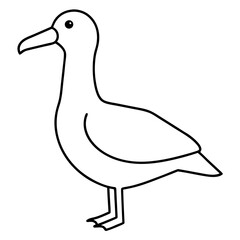Simple Albatross Vector Drawing
