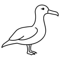 Simple Albatross Vector Drawing