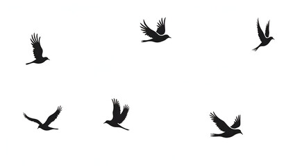 Collection of flying bird shapes in silhouette style, isolated on a plain white backdrop, designed with simplicity for tattoo or logo use
