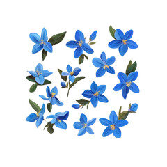 Fototapeta premium Vibrant Collection of Blue Flowers Perfect for Spring Designs