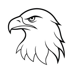 eagle head fierce eye detail line art vector 
